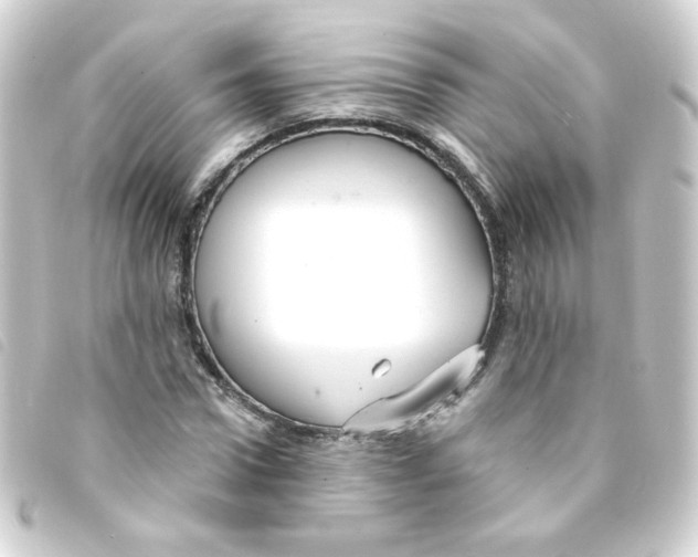 X0000093250922200710241311