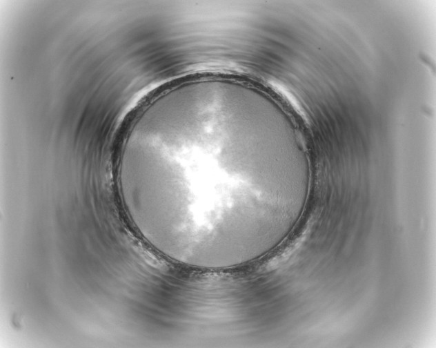 X0000093250923200710241311