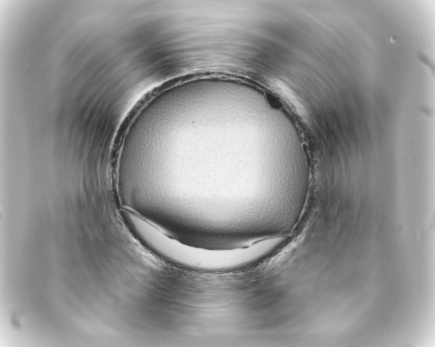 X0000093250924200710241311