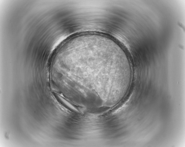 X0000093250925200710241311