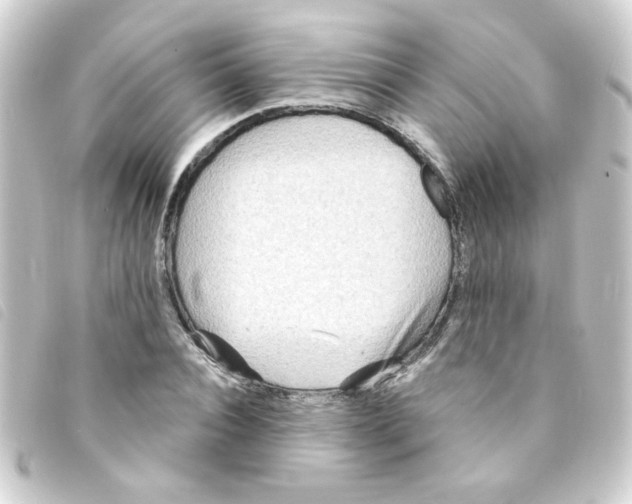 X0000093250928200710241311