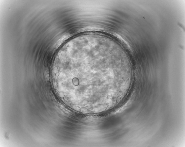 X0000093250929200710241311