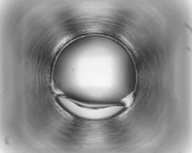 X0000093250930200710241311