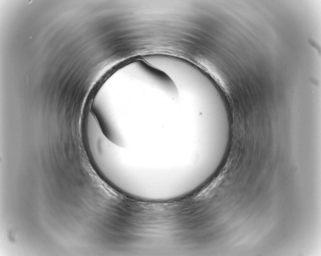 X0000093250932200710241311