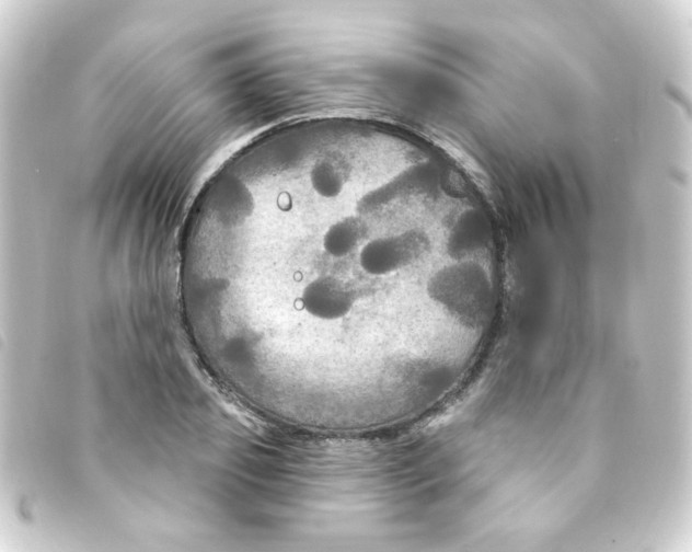 X0000093250933200710241311