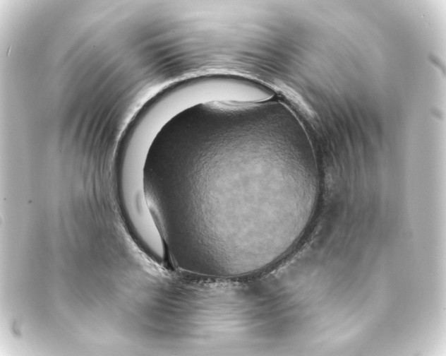 X0000093250934200710241311