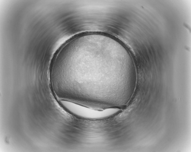 X0000093250935200710241311