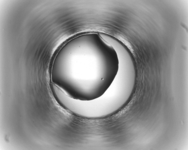 X0000093250936200710241311