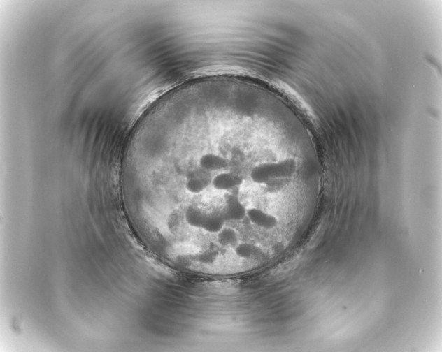 X0000093250937200710241312