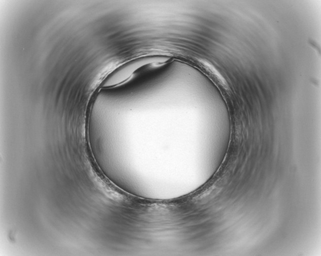 X0000093250938200710241312