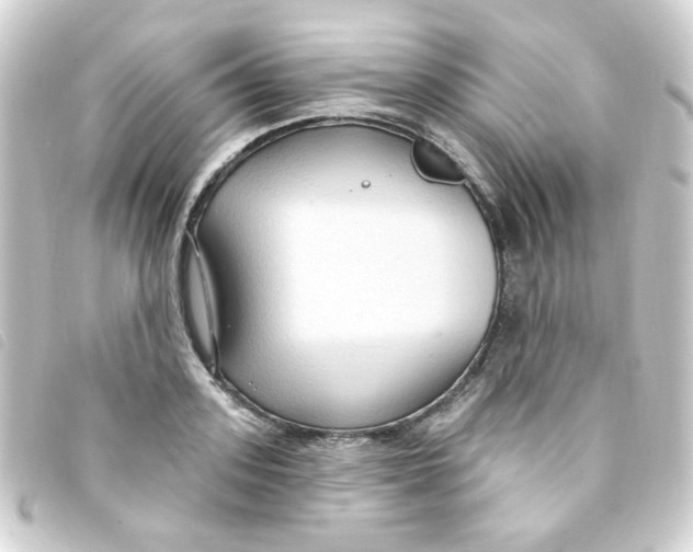 X0000093250939200710241312