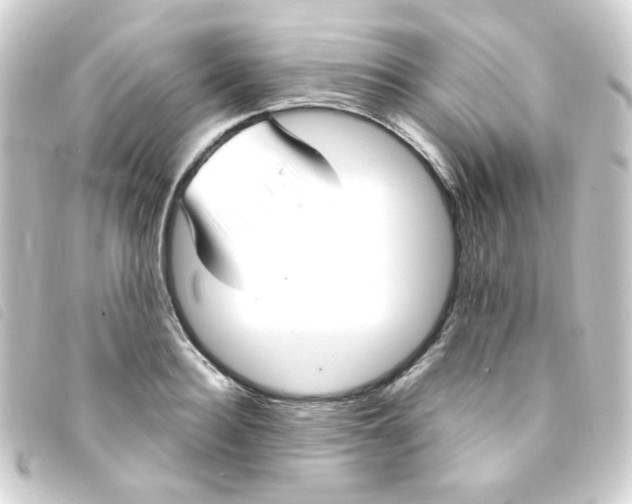 X0000093250940200710241312