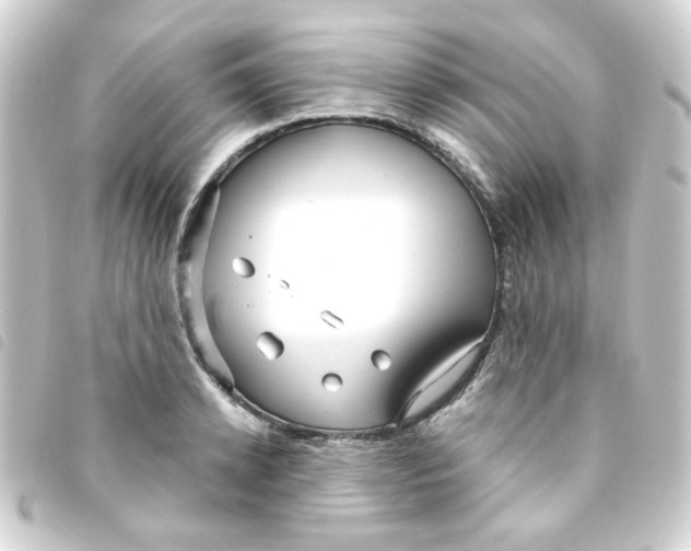 X0000093250942200710241312