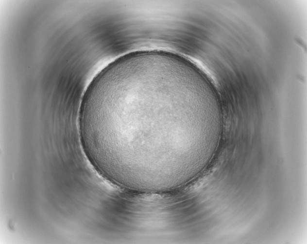 X0000093250943200710241312