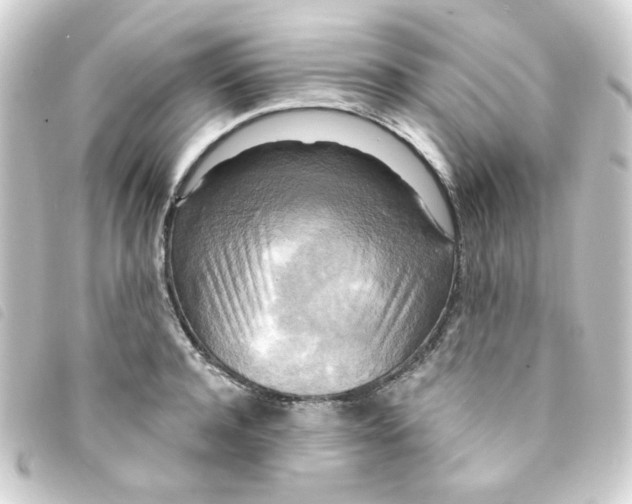 X0000093250944200710241312