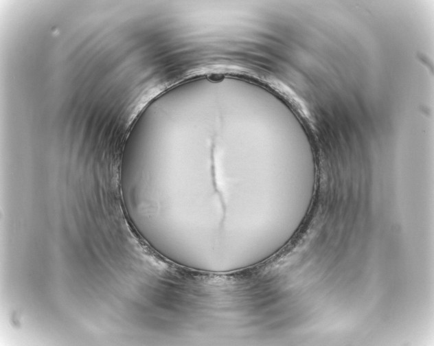 X0000093250945200710241312