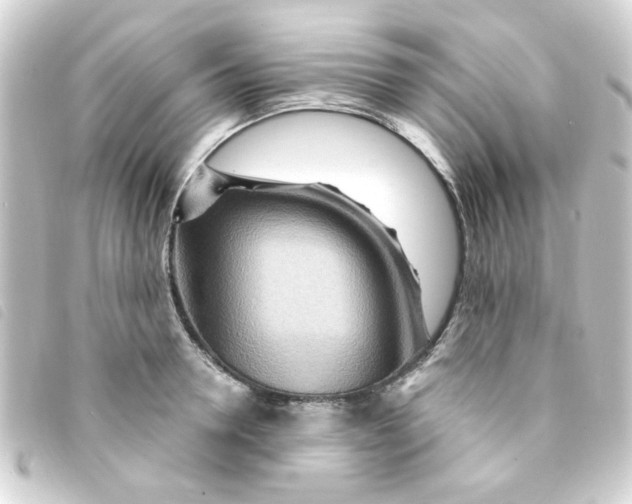 X0000093250946200710241312