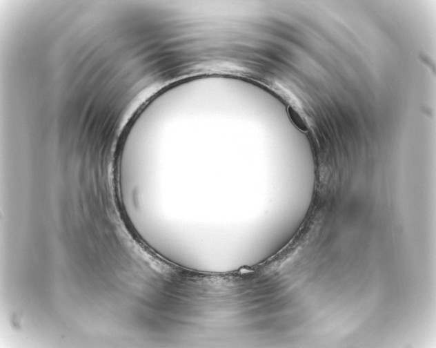 X0000093250947200710241312