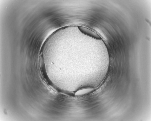 X0000093250948200710241312