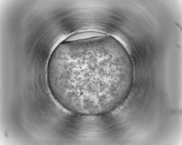 X0000093250949200710241312