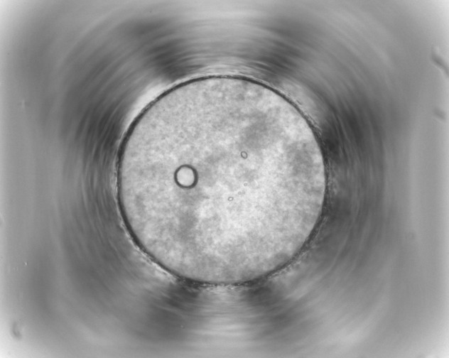 X0000093250950200710241312