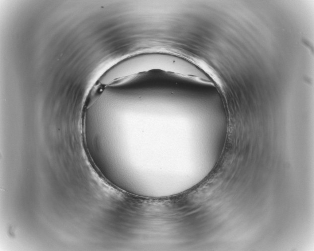 X0000093250951200710241312