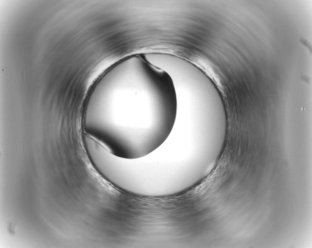 X0000093250952200710241312