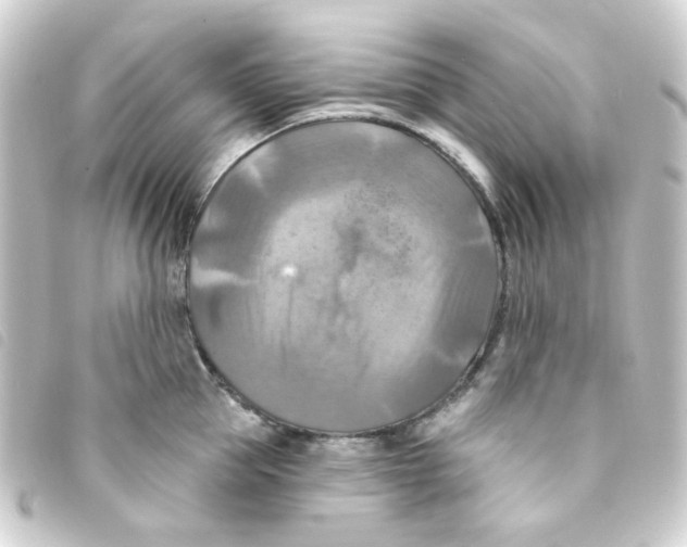 X0000093250953200710241312