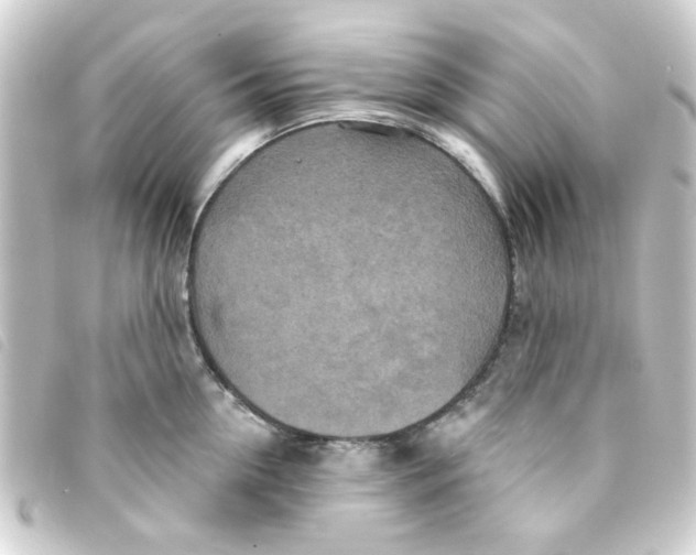 X0000093250954200710241312