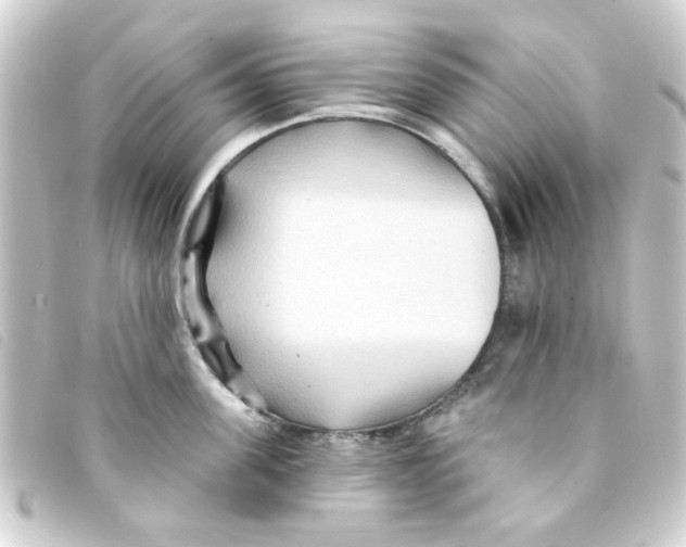 X0000093250955200710241312