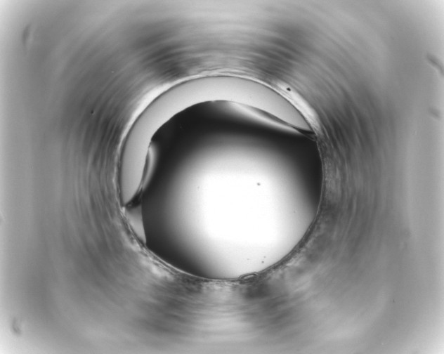 X0000093250956200710241312