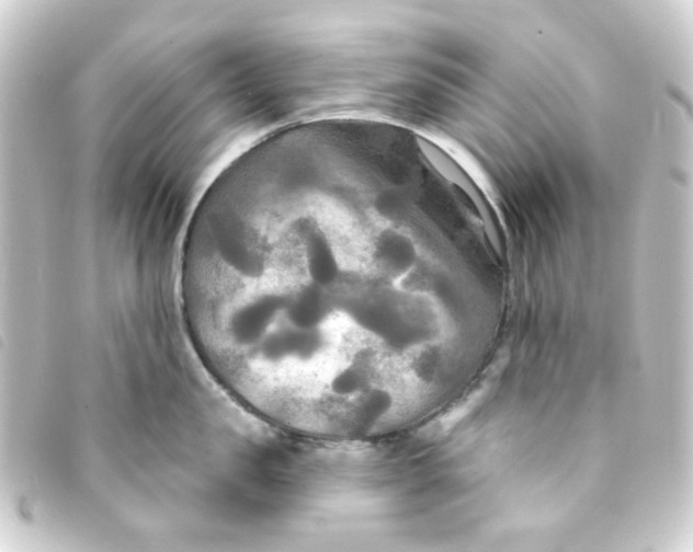 X0000093250957200710241312