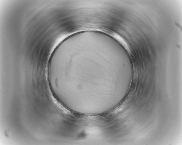 X0000093250958200710241312