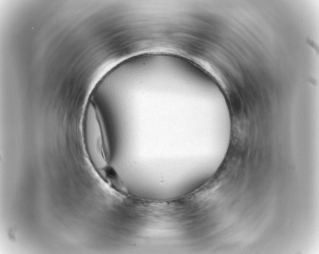 X0000093250959200710241312