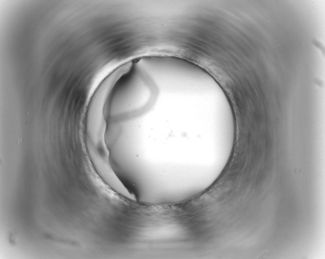 X0000093250960200710241312