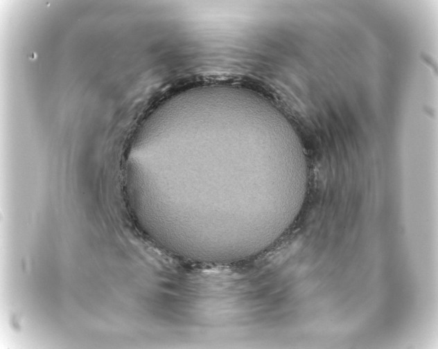 X0000093250961200710241311