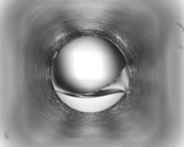 X0000093250965200710241311