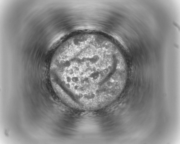 X0000093250967200710241311