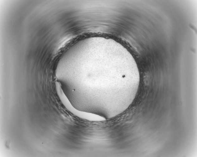 X0000093250968200710241311