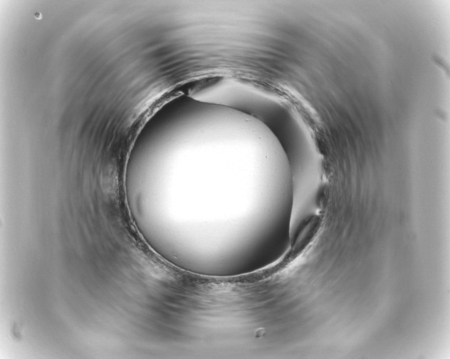 X0000093250969200710241311