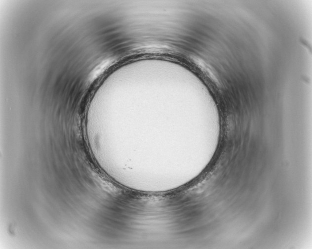 X0000093250970200710241311