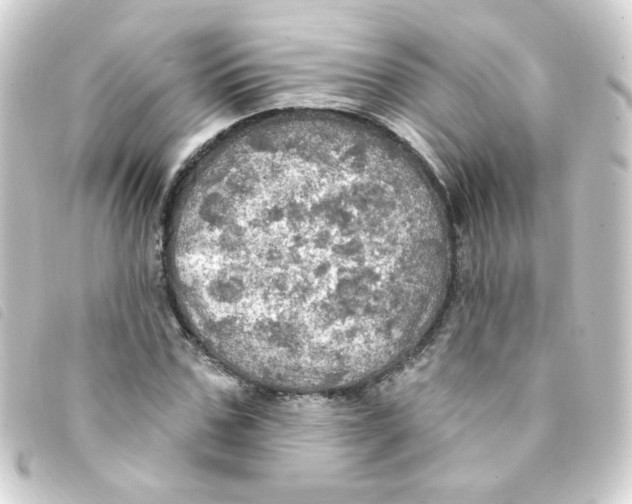 X0000093250971200710241311