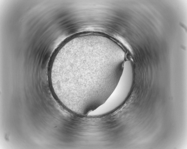 X0000093250972200710241311