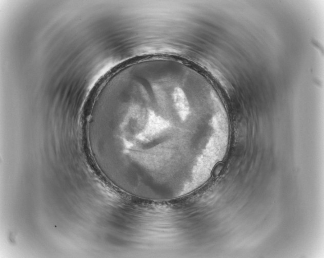 X0000093250975200710241311