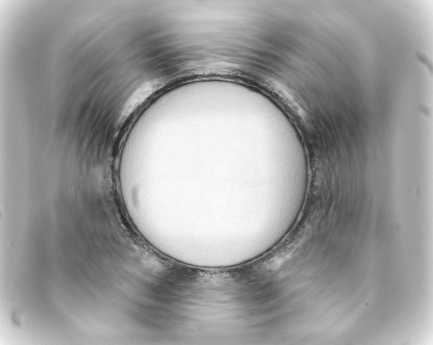 X0000093250978200710241311