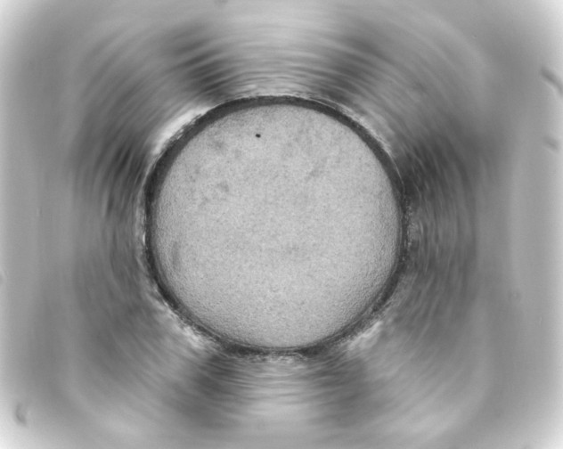 X0000093250979200710241311