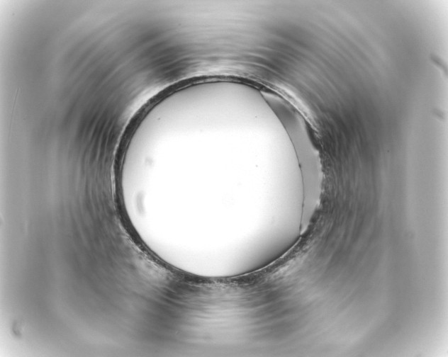 X0000093250980200710241311