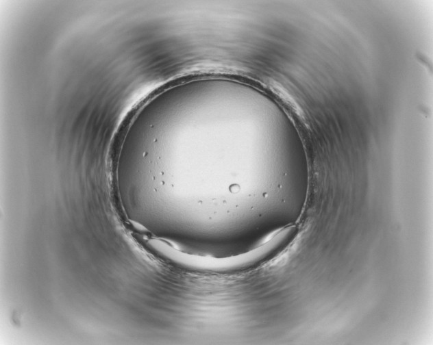 X0000093250981200710241311