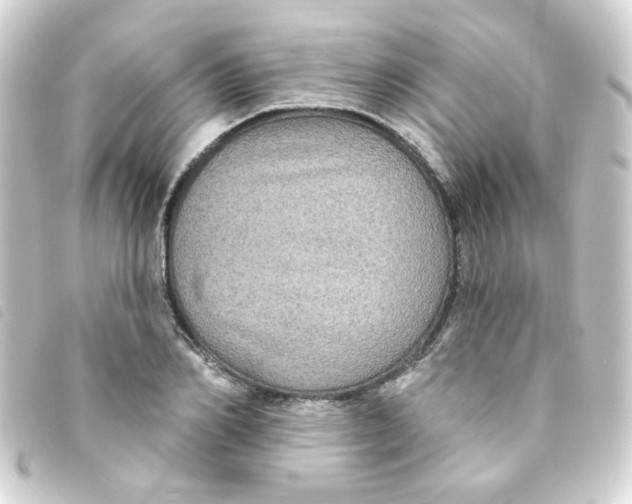 X0000093250982200710241311