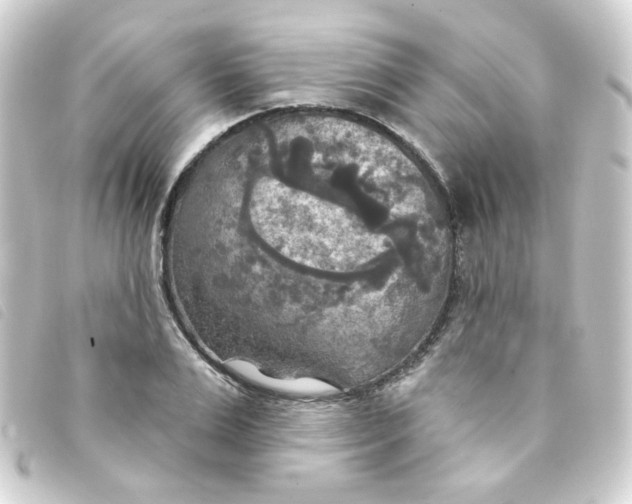 X0000093250983200710241311